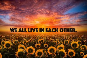 Multi-colored sunset above a field of sunflowers, with text in the center, reading: WE ALL LIVE IN EACH OTHER