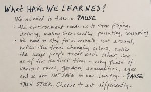 Black text on a plain white background. Text reads: WHAT HAVE WE LEARNED? We needed to take a PAUSE. The environment needs us to stop flying, driving, moving incessantly, polluting, consuming. We need to stop for a minute, look around, notice the trees changing colors, notice the ways people treat each other, see - as if for the first time - why those of various races, genders, sexualities, ages and so are NOT SAFE in our country...PAUSE, TAKE STOCK, Choose to act differently.