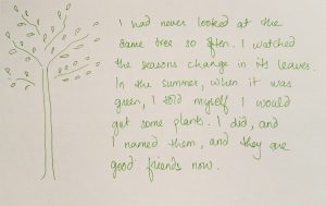 Green drawing of a tree next to green text. The text reads: I had never looked at the same tree so often. I watched the seasons change in its leaves. In the summer, when it was green, I told myself I would get some plants. I did, and I named them, and they are good friends now.
