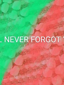 Green and red postcard featuring the words NEVER FORGOT in the center
