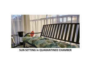 Postcard featuring a photograph of a black bench. The bench has a green patterned cushion and is located in a room with a lot of sunlight and white curtains. The bottom of the postcard reads SUN SETTING in QUARANTINED CHAMBER