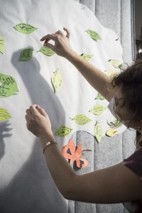 ZCMP WS 22mar6 SJR-19